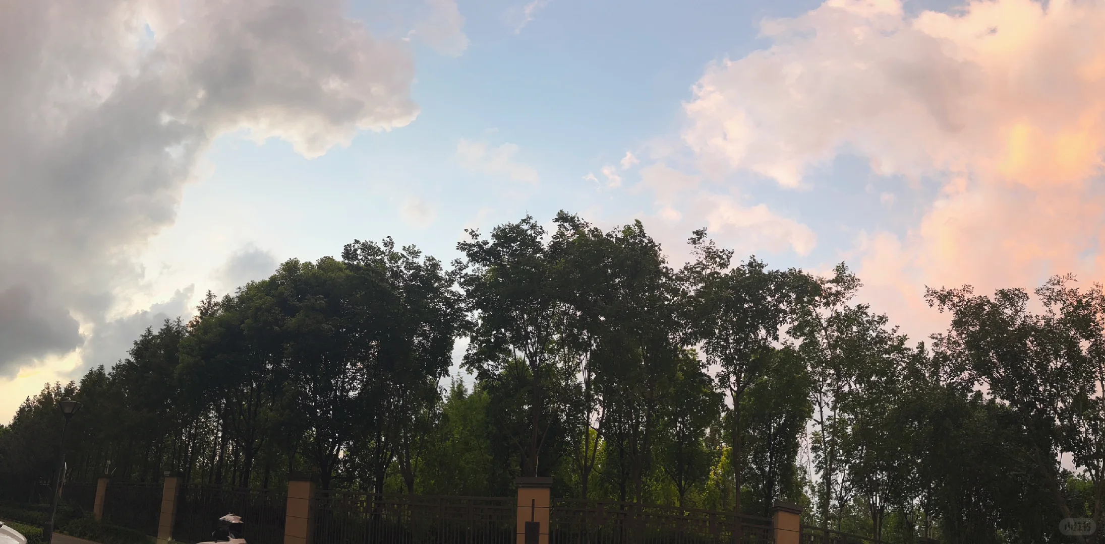 取卵后喷吐了,单身去乌克兰代孕