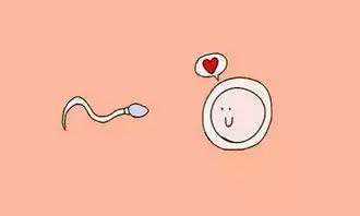 试管婴儿机构 代孕,广州能做三代试管的医院有哪些