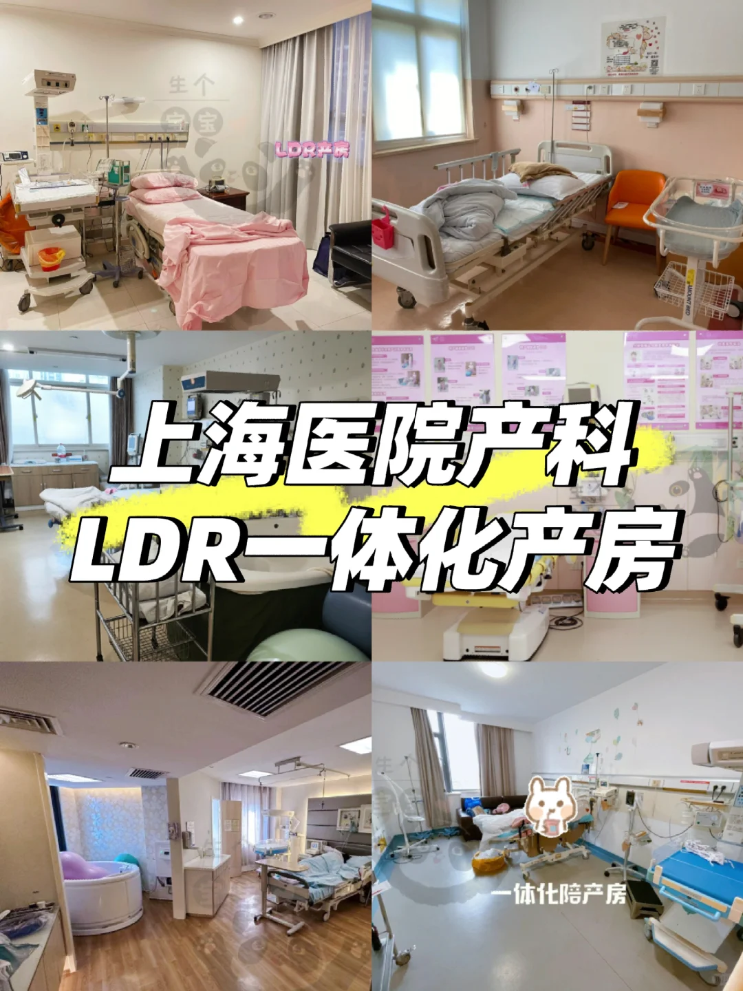 LDR一体化产房信息大揭秘：探索家庭化分娩新体验