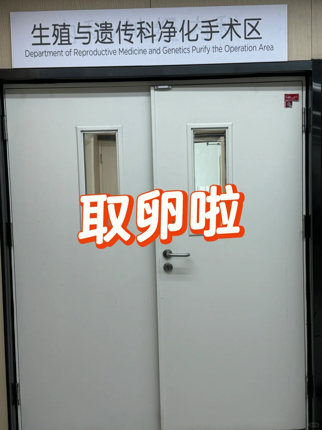 省中医取卵之旅：助力好孕，选择专业助孕服务